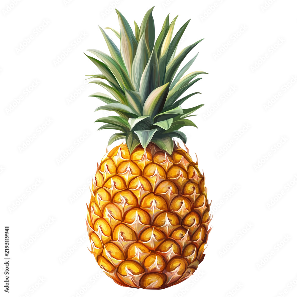 Fototapeta premium Tropical pineapple fruit, detailed botanical illustration, golden yellow textured skin and green spiky leaves for food branding isolated on Transparent Background