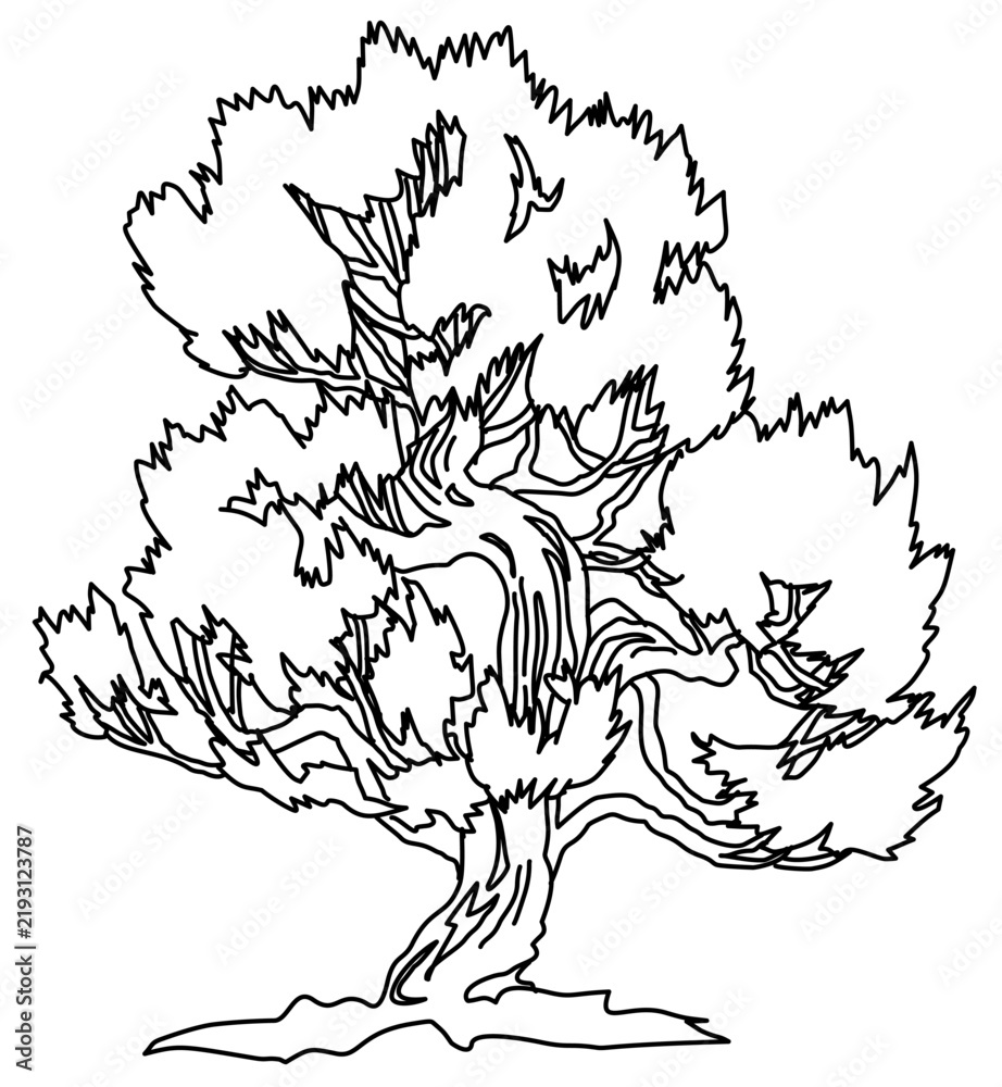 Fototapeta premium unique black and white sketch of a bonsai-style tree featuring a twisted trunk and a dense, rounded canopy of leaves. Perfect for Japanese garden designs, architectural plans, and nature-themed graphi