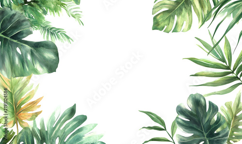 Lush tropical leaves frame on transparent background for exotic designs.