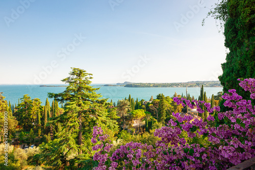 Sunny coastal garden overlooking Lake Garda, Italy with blooming Bougainvillea, Mediterranean landscape.