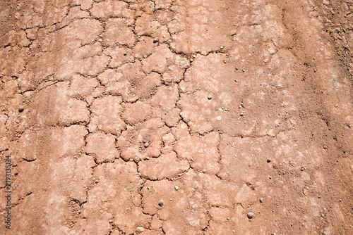 Cuadro en lienzo Cracked dry red clay earth texture of a parched road surface under bright sunlight