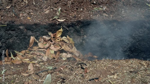 Burning Dry Leaves and Wood Twigs Producing Smoke in a Pit Dry leaves and wood twigs burning with flames and thick smoke inside a ground pit during outdoor yard cleanup and organic waste disposal.