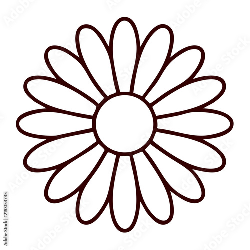 Blooming Daisy Flower Line Art Vector Illustration Isolated on White Background