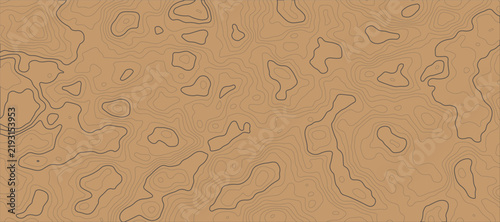 Seamless topographic map texture with contour lines on beige background.
