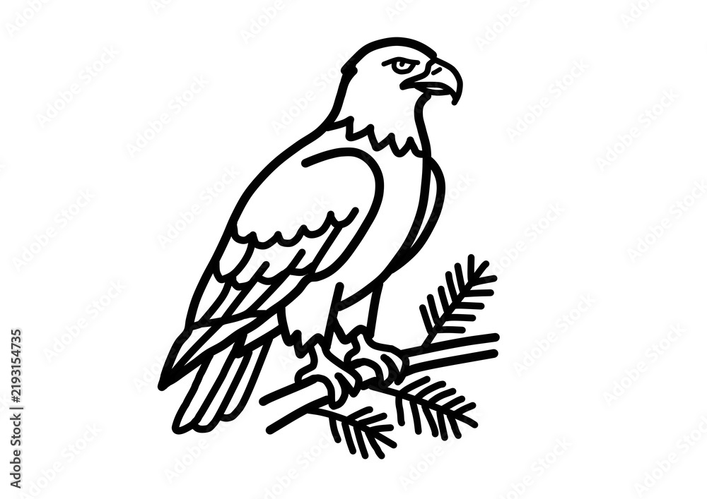 Fototapeta premium Bald Eagle Perched on Tree Branch Line Art Vector Illustration Isolated on White Background