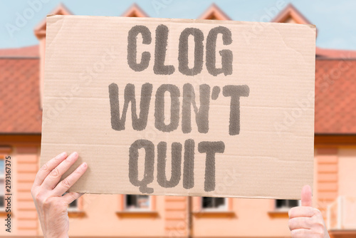 Fotografie "Clog won't quit" Recurring toilet blockage defies every home remedy