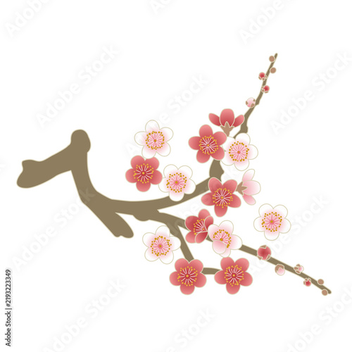 Tapety artystyczne 梅の花と枝の和風カットイラスト（正月・初春素材）