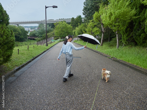 Tapety artystyczne 真夏の雨の日の公園で可愛いポメラニアンと散歩する十代の女の子の姿