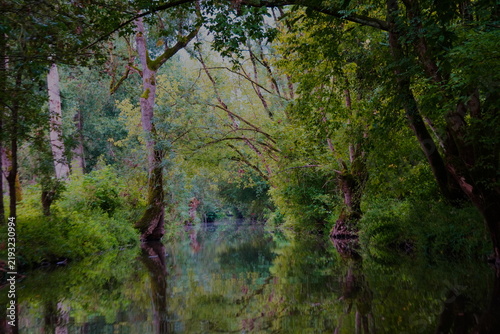 Quadro su tela quiet green scenery in the narrow rivers of beautiful green venezia Poitevin M