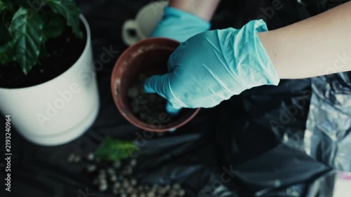 Adding Drainage Clay Pebbles to Flower Pot Indoors