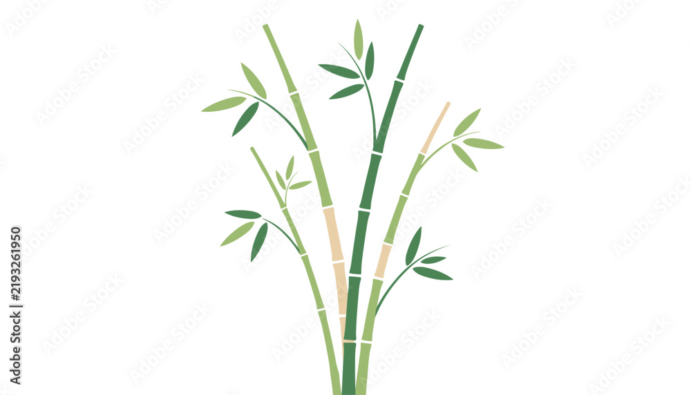 Obraz premium Minimalist illustration of natural green bamboo stalks with delicate leaves growing upwards on a clean white background.