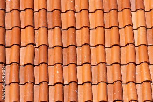 Warm terracotta tiles form wavy, repeating pattern. Sunlight highlights rich, earthy tones across each ridge. Rooftop surface shows slight wear, adding character. Texture invites tactile imagination