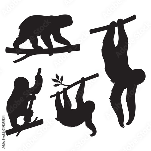 Collection of Sloth silhouettes designs