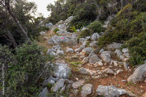 Red marks showing the rocky hiking trail on Kalovoulos mountain, Alonissos, Greece