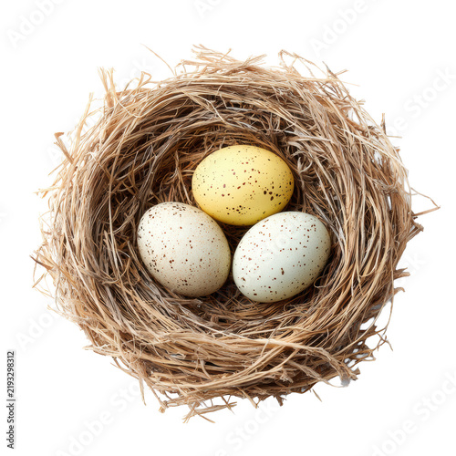 Top view of rustic straw bird nest with three speckled eggs isolated on transparent background