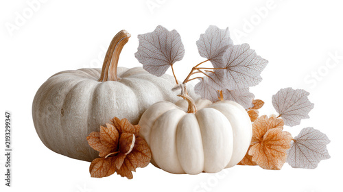 White pumpkins with delicate skeleton leaves autumn still life isolated on transparent background