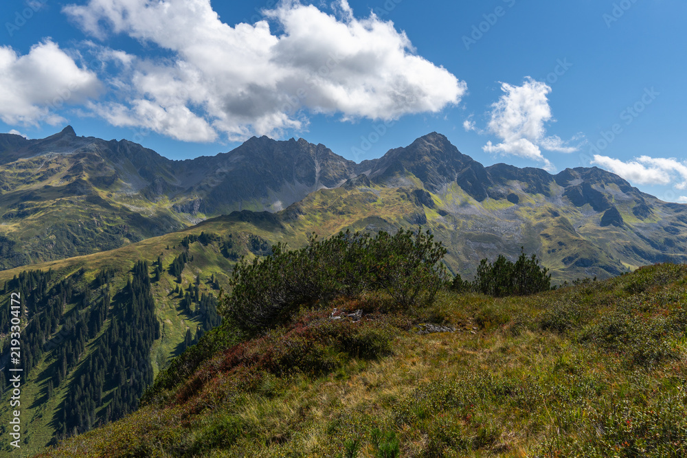 Fototapeta premium alpine mountains in silver valley with steep slopes, by the way a beautiful panorama with Ant Peak, Western Iron Valley Peak, Silver Valley Lob Peak, hiking in high mountains through alpine flowers an