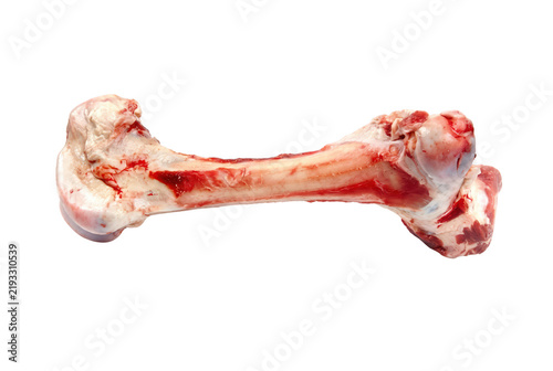 Foto Large Raw Animal Femur Bone with Red Meat and Tissue