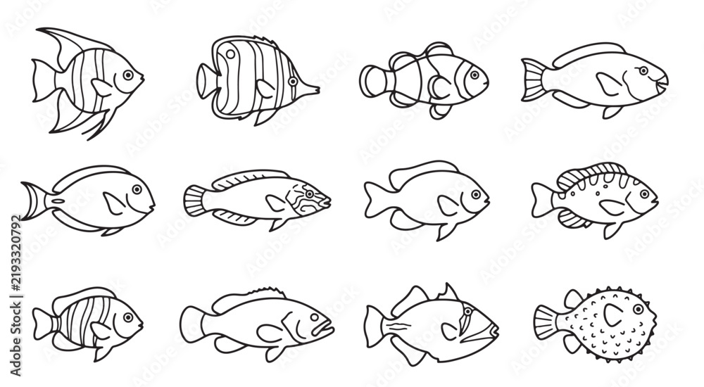 Obraz premium Reef fish