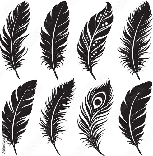 Black silhouette bird feathers vector illustration on white background