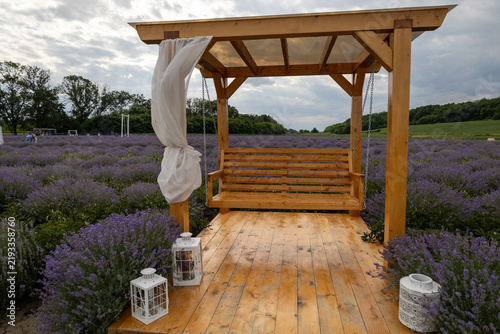 Foto Cozy wooden gazebo in a Lavender field.