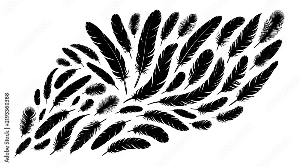 Obraz premium Black feather silhouettes collection, decorative bird plumage vector set, elegant quill and down feather illustrations for graphic design