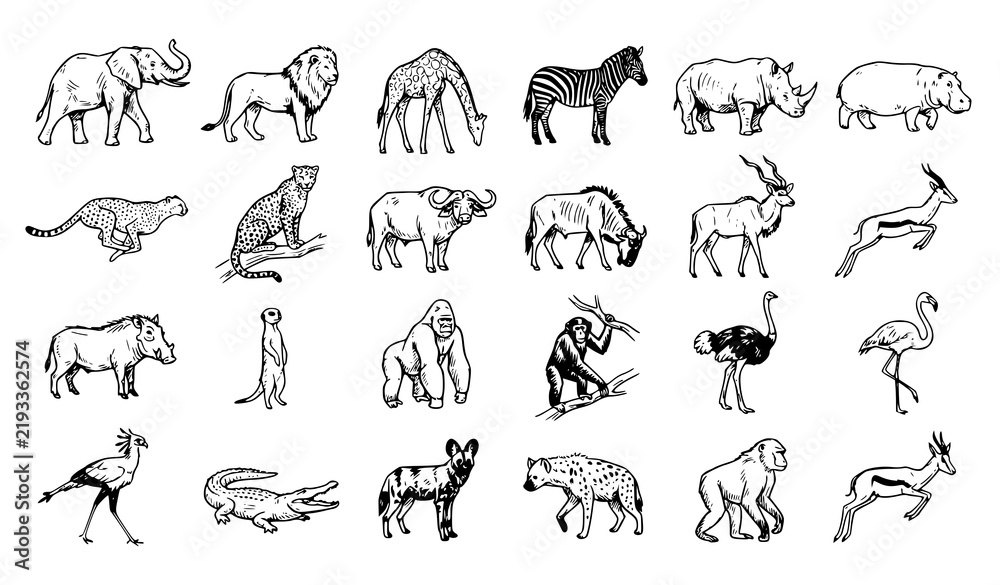 Obraz premium Vector Collection of African Wildlife with Elephant, Lion, Giraffe, Zebra, Rhino, Hippo, Cheetah, Gorilla, Flamingo, and Safari Animals Sketch