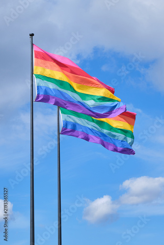 Фотография Two flagpoles with rainbow flags fluttering in the wind