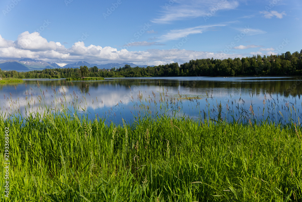 Obraz premium Potter Marsh, located at the southern end of the Anchorage Coastal Wildlife Refuge,