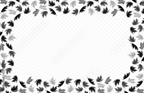 Isolated decorative vector frame. Black and white isolated frame made of autumn leaves on a transparent background.