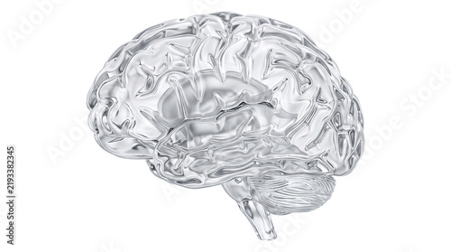 Obraz na plátně Shiny human brain 3d rendering in chrome color for medical and artificial intelligence concepts