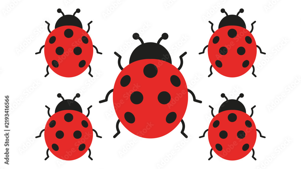 Fototapeta premium Five Ladybugs Arranged in Cluster Formation
