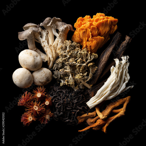 Variety of edible mushrooms isolated on black background, concept of natural culinary diversity and functional medicinal