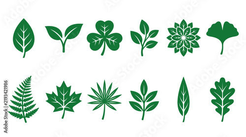 Green leaf icons set, flat botanical foliage symbols, 12 organic plant leaf silhouettes, eco-friendly nature vector elements for branding