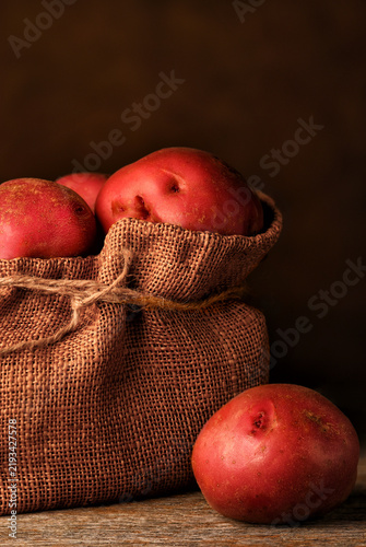 Red Potato Still Life. A burlap sack filled with fresh harvested Red Potatoes with one potato on the rustic wood table.