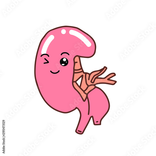 Smirk expression. Kawaii Human Kidney Organ cartoon design. 