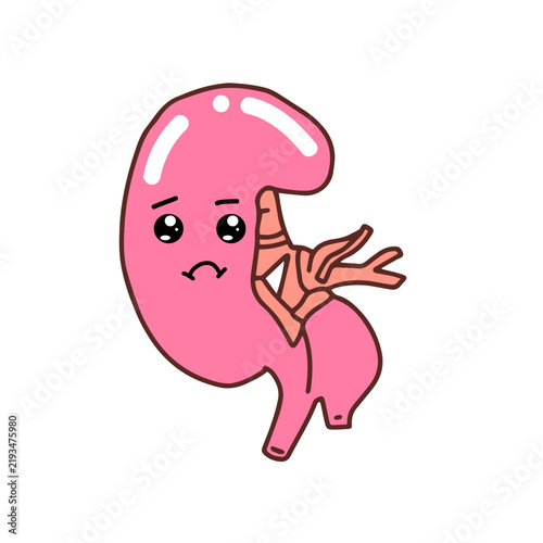 Wink expression. Kawaii Human Kidney Organ cartoon design. 
