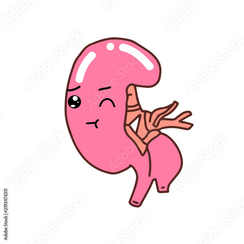 Wink expression. Kawaii Human Kidney Organ cartoon design. 