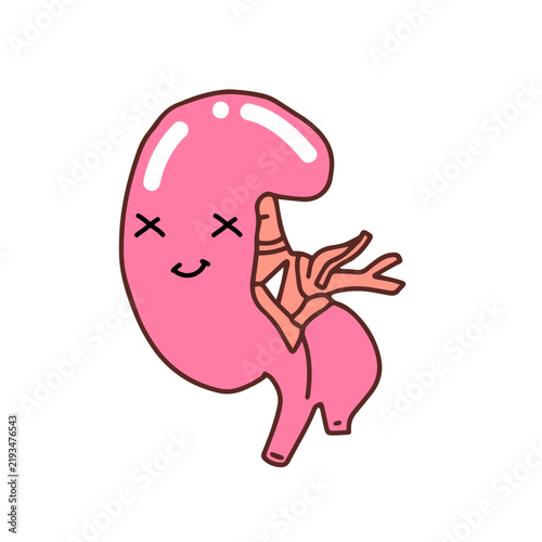Happy expression. Kawaii Human Kidney Organ cartoon design. 