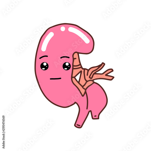 Kawaii Human Kidney Organ cartoon design. variant different expression