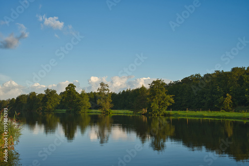 Obraz na plátně Lush forested shoreline and blue sky reflected in the smooth, mirror-like water