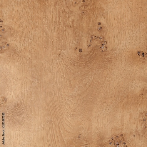 natural warm horizontal burl wood texture background with unique organic swirls and knots