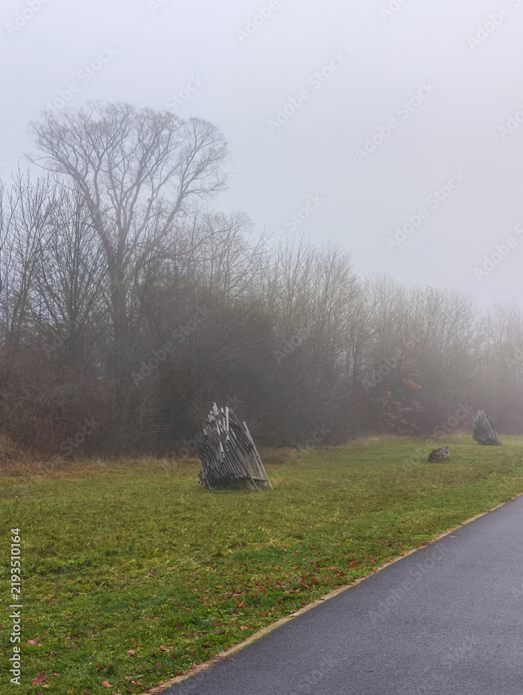 Obraz premium Foggy november morning in prague park with wooden structures