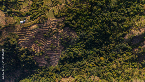 Aerial view of shola forest vegetation in Kookal, Palani Hills, Western Ghats, featuring Rudraksha, Jamun, cinnamon, grasslands, pine trees, and scattered village houses across the lush mountain lands