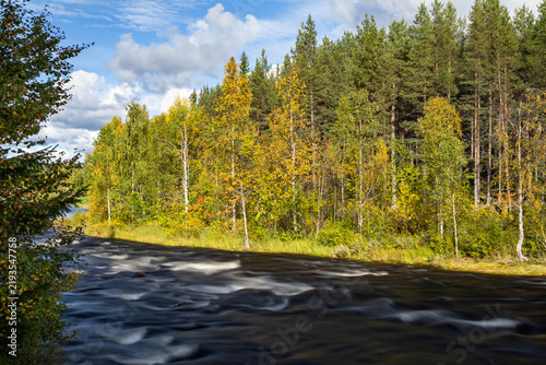Flowing Vassara river through colorful autumn forest in Gällivare, Sweden