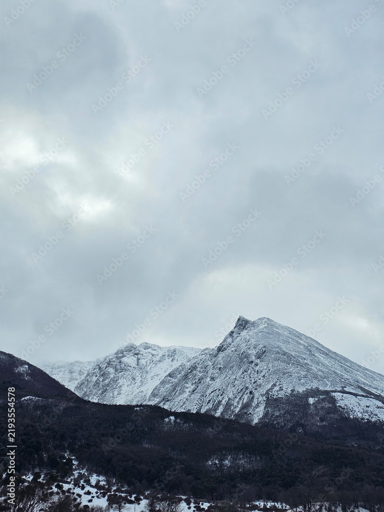 Fototapeta premium Vertical view of a sharp, snow-dusted mountain peak rising above a dense dark forest ridge under a cloudy, atmospheric winter sky in Tierra del Fuego, Argentina.