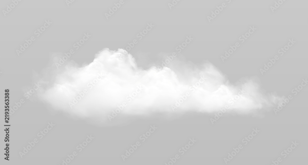 Obraz premium Realistic fluffy cloud with natural vapor texture.