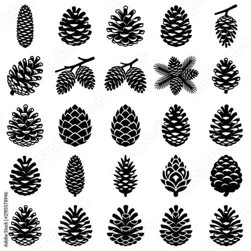 Extensive vector collection showcasing diverse pine cones and fir cones, perfect for enhancing winter, nature, and holiday-themed graphic designs with natural forest elements