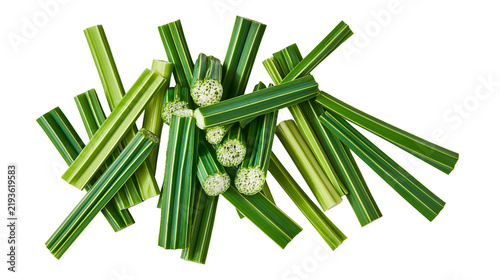 Fotografía Isolated fresh cut pieces of raw green sugarcane plant stems scattered, close-up