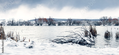Winter landscape with lake, snow covered driftwood on shore and cloudy sky in background